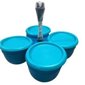 Tupperware ESSENTIALS 4 Bowl CADDY & SERVER Condiments Tacos Salsa Dip Teal Blue